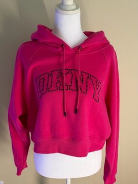 Plainty Hot Pink Hooded Sweatshirt